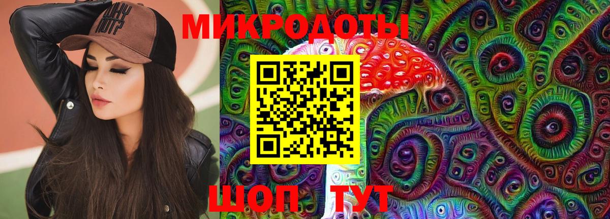 Псилоцибиновые грибы Psilocybe  Вход с VPN  Тайшет 